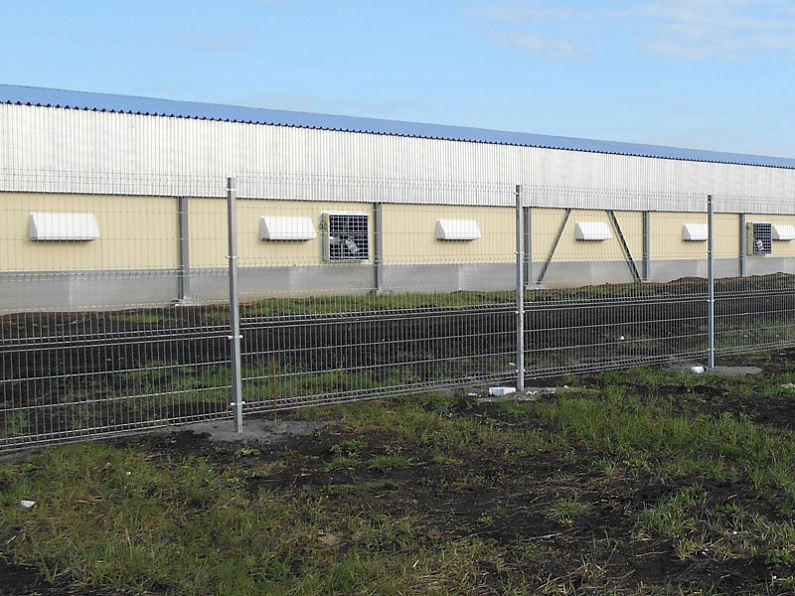 Ограждение индюшатника «Тамбовская Индюшка»